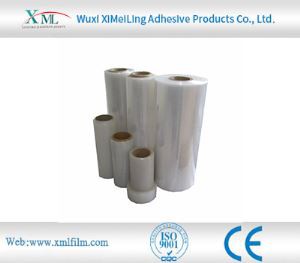 Xây dựng phim bảo vệ kính